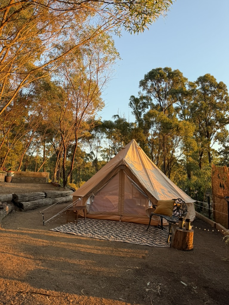 Glamping Experience